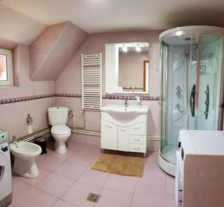 Гостевой дом Dmc House Frumosu Двухместный номер с 1 кроватью и собственной ванной комнатой-9